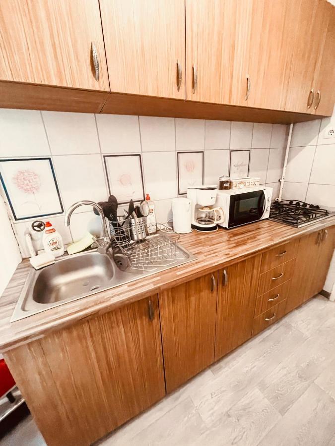تيميشورا Ultracentral Big Apartment - Near The Opera Square P17 المظهر الخارجي الصورة