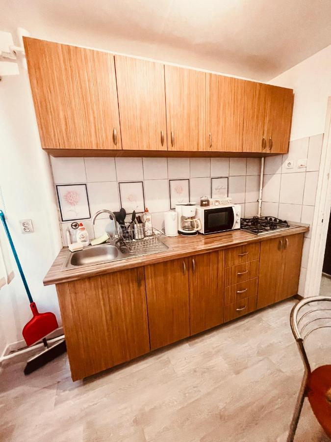 تيميشورا Ultracentral Big Apartment - Near The Opera Square P17 المظهر الخارجي الصورة